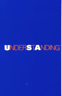 Understanding USA